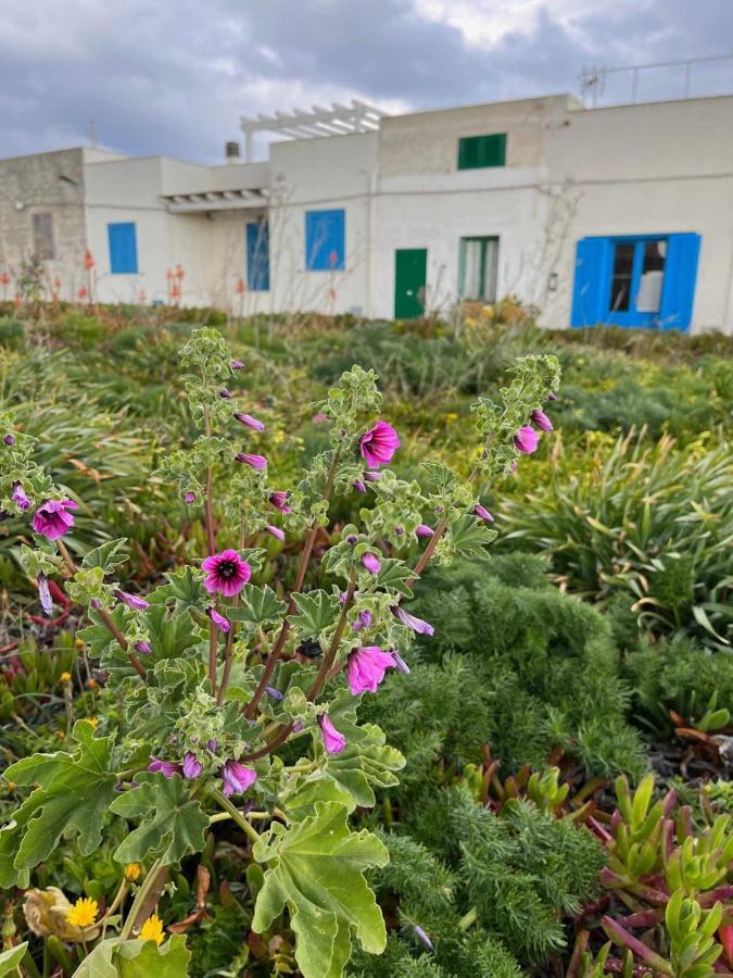 Casetta Favonia Fronte Mare * Favignana